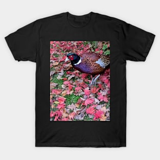 Pheasant in Autumn T-Shirt